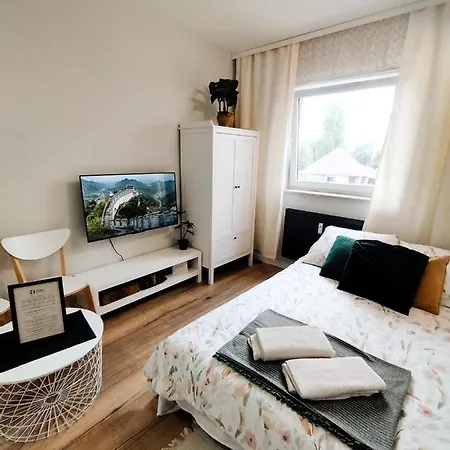 Terra Apartament - Cozy Studio With Netflix & Free Parking Apartment *